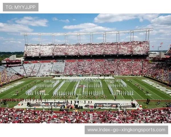 NFL 三强争霸!超级碗赔率最新变化 NFL 三强争霸!超级碗赔率最新变化